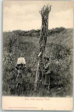 Zulu Girls carrying Wood Motiv Südafrika