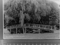 29549 W3118 Bad Bevensen GLASNEGATIV Klaubuschbrücke