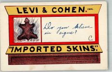 Levi & Cohen Imported Skins Comic Judaika 1906