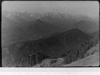 83661 W8172 Almbach GLASNEGATIV