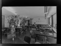63667 W6478 Nidda GLASNEGATIV Cafe Schillereck