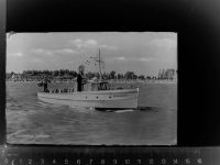 23743 W2433 Grömitz GLASNEGATIV Seeschwalbe, Boot