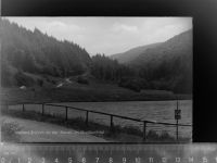 56843 W5585 Enkirch GLASNEGATIV Im Grossbachtal