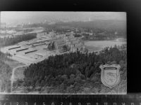 37242 W3437 Ahrenberg GLASNEGATIV Allendorf