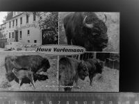 34414 W3530 Hardehausen GLASNEGATIV Haus Varleman