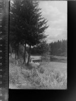 37170 W3418 Uslar GLASNEGATIV Teich