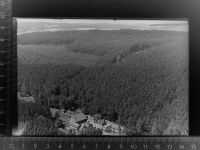 94259 W8378 Zell , Wald GLASNEGATIV