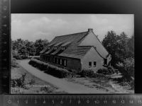 47638 W4172 Herongen GLASNEGATIV Krefelder Schullandheim, Bienenstock