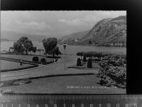 56626 W5470 Andernach GLASNEGATIV Blick vom Rheinhotel