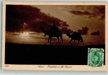 Kairo Cairo 1927 Foto AK Tracht Kamel Marke bildseitig