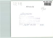 25946 W2278 Wittdün , Amrum FOTO KEINE AK Luftaufnahme