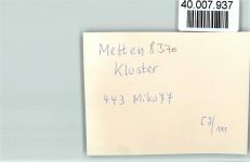 94209 W8370 Metten FOTO KEINE AK Kloster