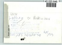 W4474 Lathen Raiffeisenbank Bank FOTO KEINE AK
