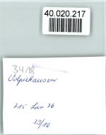 37170 W3418 Volpriehausen FOTO KEINE AK See