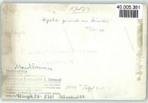 75433 W7133 Maulbronn FOTO KEINE AK Kloster Madonna