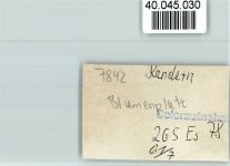 79400 W7842 Kandern FOTO KEINE AK Blumenplatz