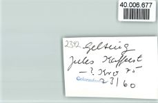 24395 W2342 Gelting , Angeln FOTO KEINE AK Jules Kaffeestuben Innenaufnahme