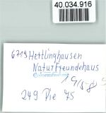 W6719 Hertlingshausen Naturfreundehaus Innenaufnahme Tischtennis Naturfreunde FOTO KEINE AK