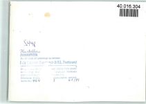 W5448 Kastellaun Reifenmühle Mühle FOTO KEINE AK