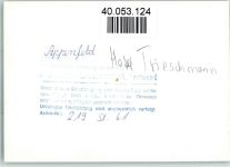 34593 W3589 Appenfeld FOTO KEINE AK Hotel Trieschmann Fachwerkhaus
