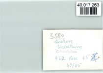 34560 W3580 Züschen , Waldeck FOTO KEINE AK Waldheim