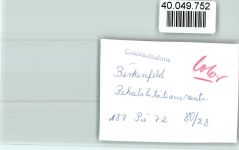55765 W6588 Birkenfeld , Nahe FOTO KEINE AK Reha Zentrum
