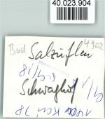 32105 W4902 Bad Salzuflen FOTO KEINE AK Hotel Café Restaurant Schwaghof Winter