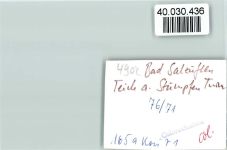 32105 W4902 Bad Salzuflen FOTO KEINE AK Teich am Stumpfen Turm
