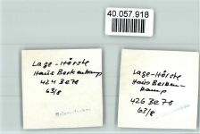 32791 W4937 Lage , Lippe FOTO KEINE AK Haus Berkenkamp