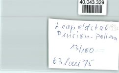 32805 W4934 Leopoldstal , Lippe FOTO KEINE AK Pension Pollem