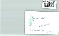 55765 W6588 Birkenfeld , Nahe FOTO KEINE AK