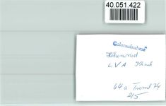 W8139 Höhenried , Starnberger See LVA Klinik Krankenhaus FOTO KEINE AK