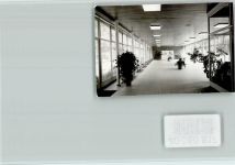 32805 W4934 Bad Meinberg FOTO KEINE AK Wandelhalle