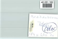 92363 W8431 Breitenbrunn , Oberpf FOTO KEINE AK Ortsansicht