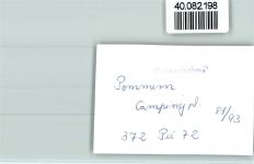56829 W5593 Pommern , Mosel FOTO KEINE AK Campingplatz