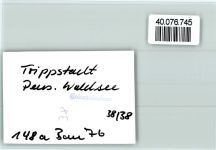 67705 W6750 Trippstadt FOTO KEINE AK Cade Waldsee