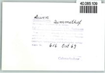 54340 W5501 Leiwen FOTO KEINE AK Zummethof
