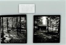 34549 W3593 Edersee FOTO KEINE AK Wildpark