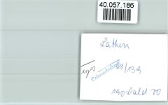 49762 W4474 Lathen FOTO KEINE AK Kirche