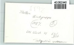 56818 W5592 Klotten FOTO KEINE AK Großes Hirsch Rudel