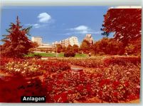 31785 W3250 Hameln FOTO KEINE AK Blumenanlagen am Theater