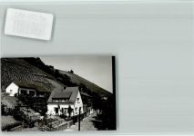 56841 W5580 Traben-Trarbach FOTO KEINE AK Rebberge