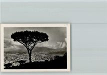 80100 Napoli Foto AK Foto 6x9cm