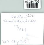 35216 W3560 Wallau , Lahn FOTO KEINE AK Landscheshalle