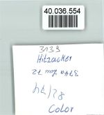 29456 W3139 Hitzacker (Elbe) FOTO KEINE AK