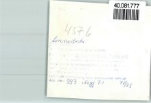 49626 W4576 Lonnerbecke b Bramsche, Hase FOTO KEINE AK Gasthaus Forellenhof