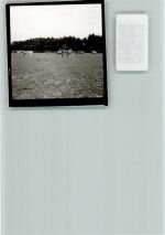 33758 W4815 Stukenbrock FOTO KEINE AK Zebras