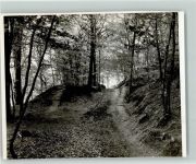 49545 W4542 Brochterbeck - Foto TK80