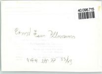 56814 W5591 Ernst b Cochem FOTO KEINE AK Gästehaus Pollmanns Innenaufnahme Gastraum Theke