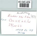 79856 W7824 Hinterzarten FOTO KEINE AK Ortsansicht